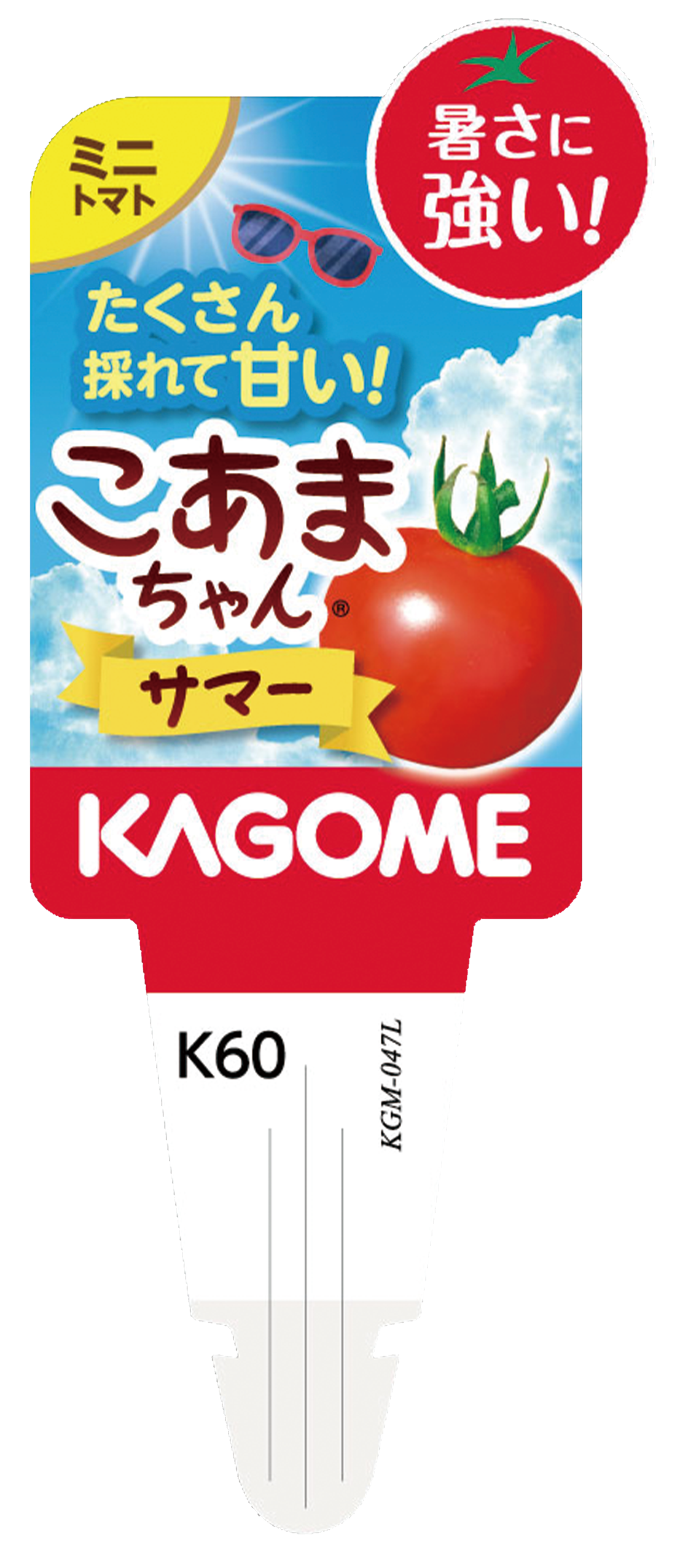 予約販売】KAGOME トマト苗シリーズ（夏植え！）10.5cmポット | プロト
